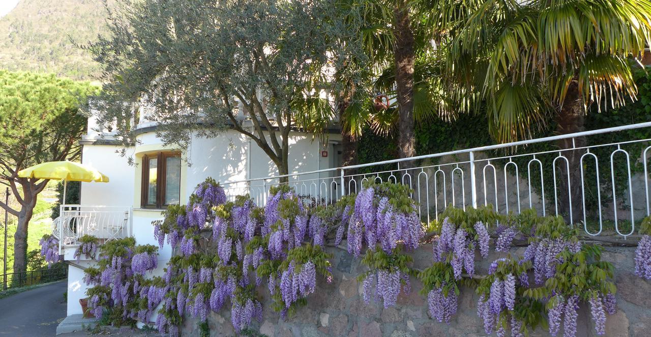 Appartement Trafoier Tirolo Exterior photo